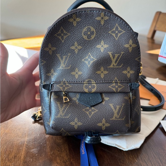 Louis Vuitton Palm Springs PM - Picture 11 of 15